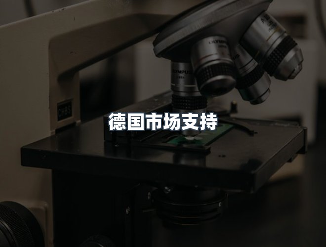 服务优势
