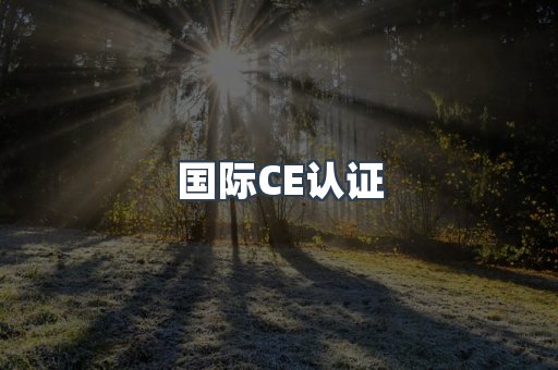 国际CE认证
